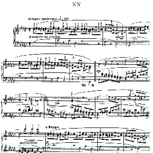 20 Petites Etudes, Op.91 钢琴谱 莫什科夫斯基