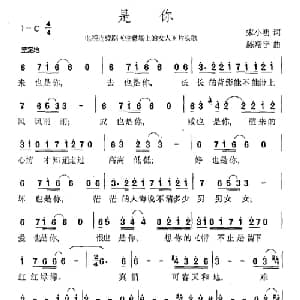 是你_通俗唱法乐谱_词曲:宋晓明 陈翔宇