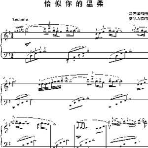 恰似你的温柔_歌谱投稿_词曲: 沈建国