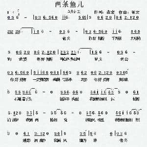 两条鱼儿_歌曲简谱_词曲:张宏 张宏