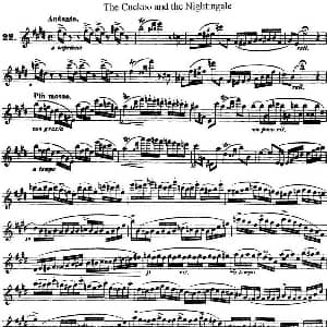 长笛曲谱 | 柯勒25首浪漫长笛练习曲作品66号 NO.22 Kohler 柯勒