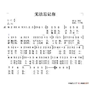 无法忘记你_歌谱投稿_词曲:网友 王正峰