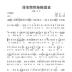 没有留住你的温柔_歌曲简谱_词曲:三力 三力