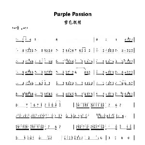 笛子谱 | Purple Passion 紫色激情