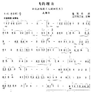 二胡谱 | 飞的理由