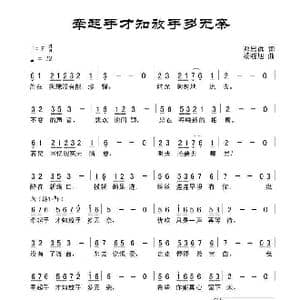 牵起手才知放手多无奈_歌曲简谱_词曲:田宇 杨晓旭