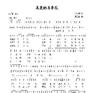 美丽的月季花_歌曲简谱_词曲:周汇俭 周汇俭