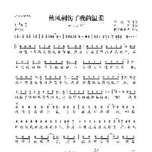 秋风刺伤了我的温柔_歌曲简谱_词曲:程建萍 天浩