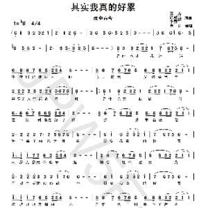 其实我真的好累_歌曲简谱_词曲:三力徐晓岚李勇军 三力徐晓岚李勇军