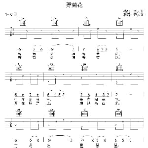野菊花 吉他谱 齐元义