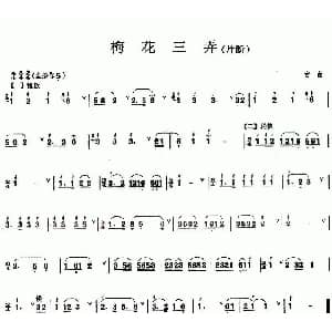 葫芦丝谱 | 梅花三弄 片段