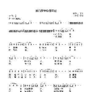 我的梦中你曾来过_歌曲简谱_词曲:徐继良 王燎原