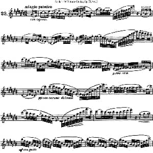 长笛曲谱 | 柯勒30首高级长笛练习曲作品75号 NO.23 Kohler 柯勒