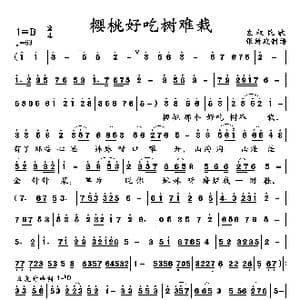 樱桃好吃树难栽_歌曲简谱