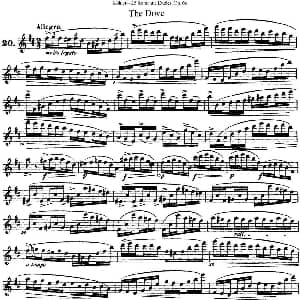 长笛曲谱 | 25首浪漫练习曲作品66号 NO.20 Kohler 柯勒