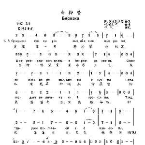 白桦赞Березка_歌曲简谱_词曲:阿.别泽勉斯基 叶.德列京