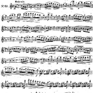 长笛曲谱 | 二十首练习曲作品131号 NO.19 Garibold 加里波第