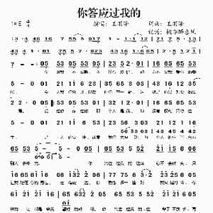 你答应过我的_歌谱投稿_词曲:王羽泽 王羽泽