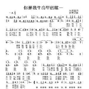 你是我生命里的唯一_民歌简谱_词曲:缘月儿 姬秀明