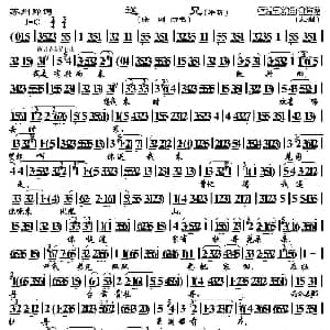 苏州弹词 送兄 片段 徐刚