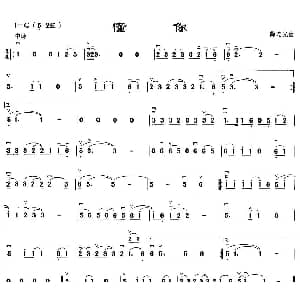 二胡谱 | 懂你 薛瑞光