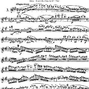 长笛曲谱 | 库劳长笛二重奏练习三段OP.102 Flute 1 NO.3 Kuhlau 库劳