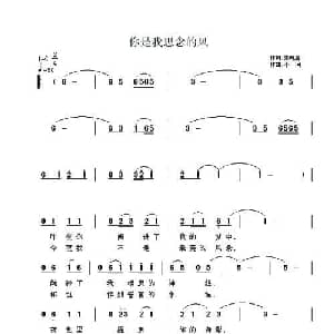 你是我思念的风_通俗唱法乐谱_词曲:张艳惠 小河