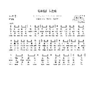 切布拉什卡之歌_歌谱投稿_词曲:乌斯宾斯基 沙英斯基