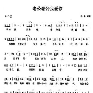 老公老公我爱你_通俗唱法乐谱