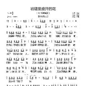 岩缝里盛开的花_歌曲简谱_词曲:松波 松波