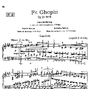 53首改编练习曲 钢琴谱 里奥鲍尔德 戈多夫斯基