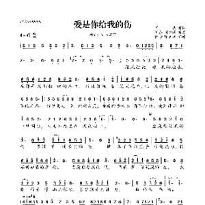 爱是你给我的伤_歌曲简谱_词曲:阚杰 刘于谦 阚杰