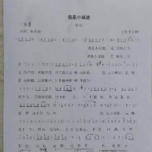 我是小球迷_歌谱投稿_词曲:方竹平 方竹平