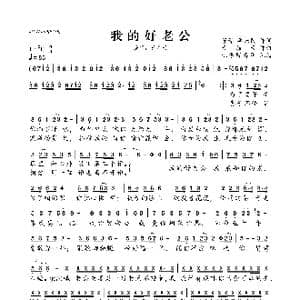 我的好老公_歌曲简谱_词曲:芳馨 单来民 天籁天