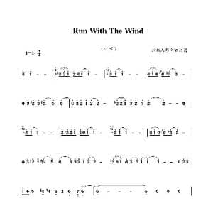 Run With The Wind_歌谱投稿