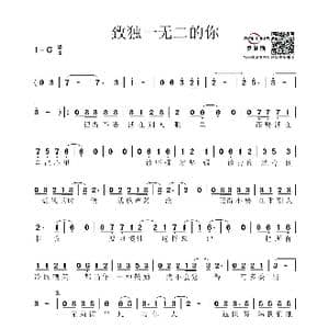 致独一无二的你_歌谱投稿_词曲:王洪波 路勇