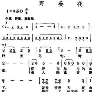野姜花_民歌简谱_词曲:李自卫 胡俊成