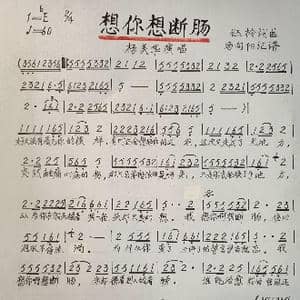 想你想断肠_歌谱投稿_词曲:钰柃 钰柃