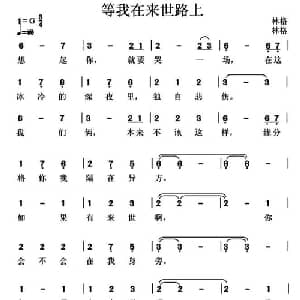 等我在来世路上_通俗唱法乐谱_词曲:林格 林格