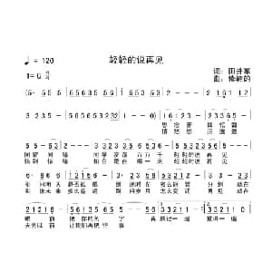 轻轻的说再见_通俗唱法乐谱_词曲:田井军 修鞋的