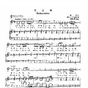 奥 野玫瑰_歌谱投稿