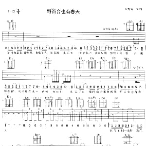 野百合也有春天 吉他谱 零点乐队 罗大佑 罗大佑