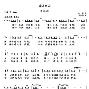 律政之花_美声唱法乐谱_词曲:沈腾 龙伟华