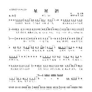 ​星星泪_歌曲简谱_词曲:李亮 李亮