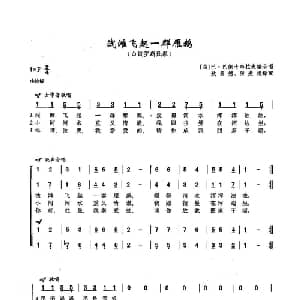 65浅滩飞起一群雁鹅 俄罗斯 _外国歌谱_词曲:白俄罗斯民歌 白俄罗斯民歌