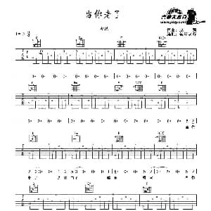 当你老了 吉他谱 赵照 赵照 赵照曲 齐延麟