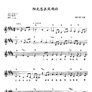 电子琴谱 | 阳光总在风雨后 带歌词 提示版 陈佳明 陈佳明