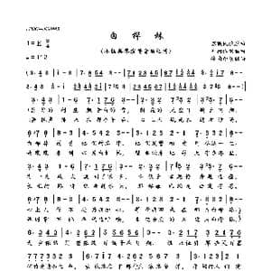 白桦林_歌曲简谱_词曲:朴树 朴树