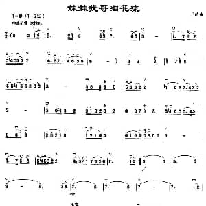 二胡谱 | 妹妹找哥泪花流 王酩