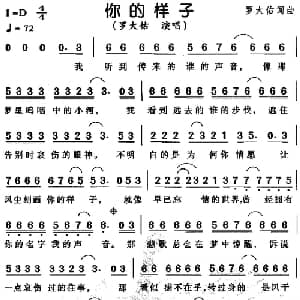 你的样子_通俗唱法乐谱_词曲:罗大佑 罗大佑